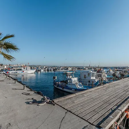 Flirty Flamingo Seaview * Larnaca