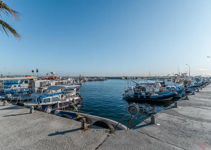 Flirty Flamingo Seaview