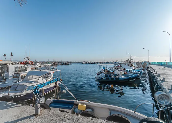 Flirty Flamingo Seaview Larnaca