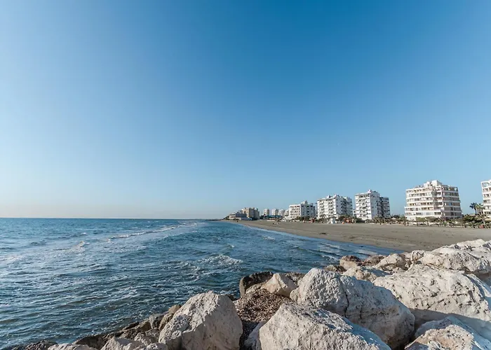 Flirty Flamingo Seaview